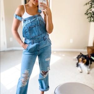 Wild Fable distressed overalls